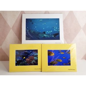 Aquatic Photography Prints